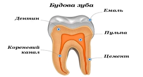 %d0%b0%d0%bd%d0%b0%d1%82%d0%be%d0%bc%d1%96%d1%8f_7%d0%b0